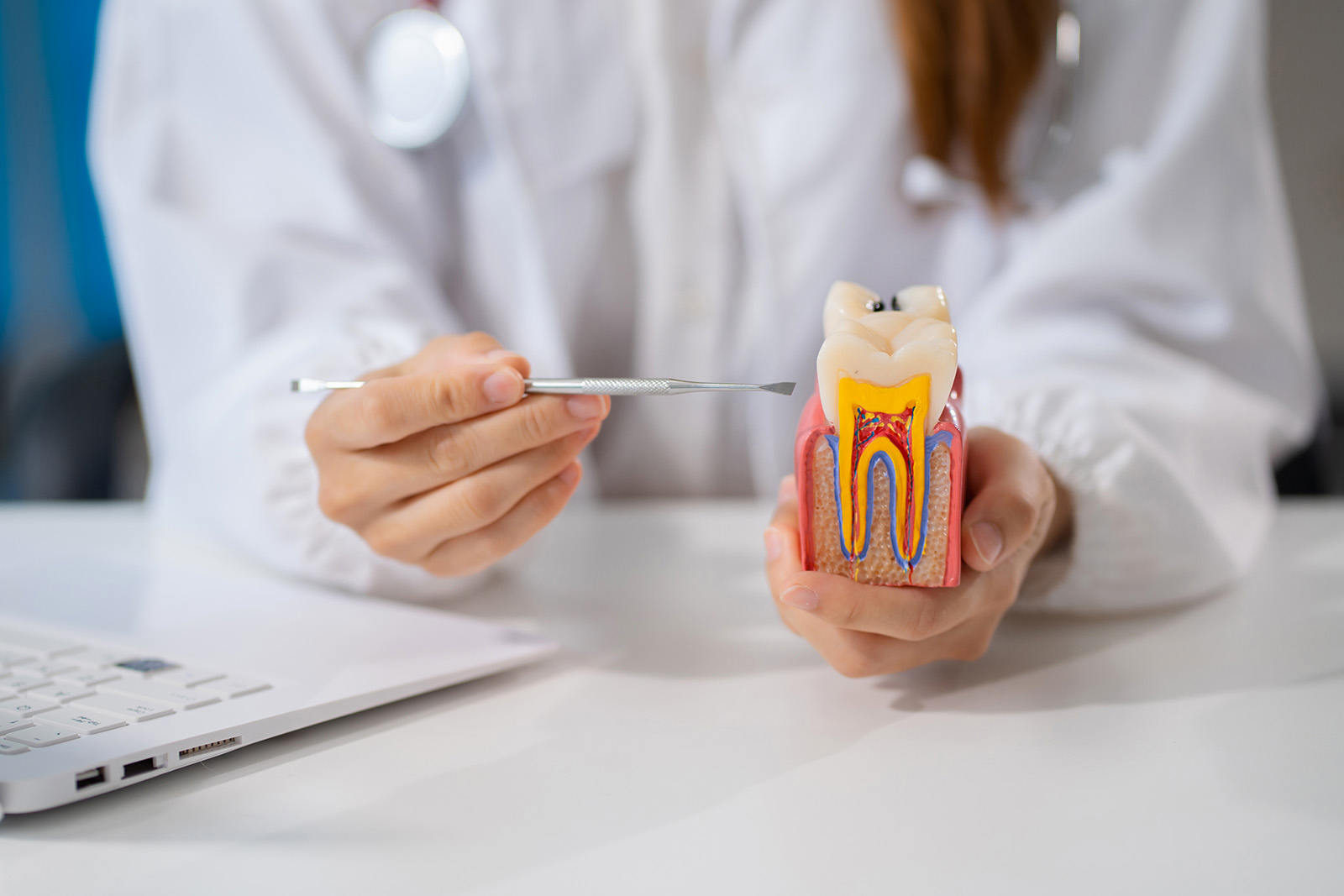 This photo shows a medical professional wearing a white coat with a stethoscope holding a tooth model and a dental instrument in a brightly lit workplace setting